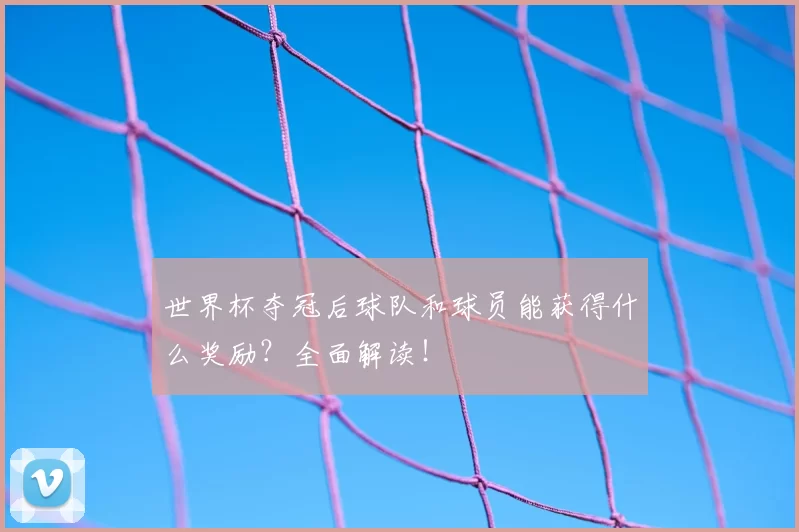 世界杯夺冠后球队和球员能获得什么奖励?全面解读!