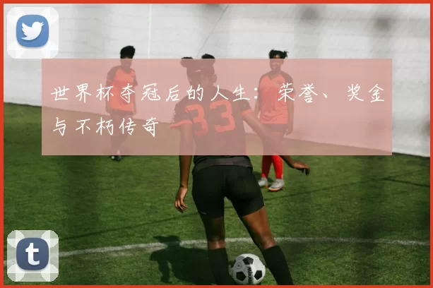 世界杯夺冠后的人生:荣誉、奖金与不朽传奇