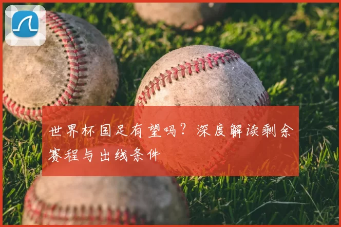 世界杯国足有望吗?深度解读剩余赛程与出线条件