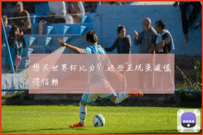 想买世界杯比分？这些正规渠道值得信赖
