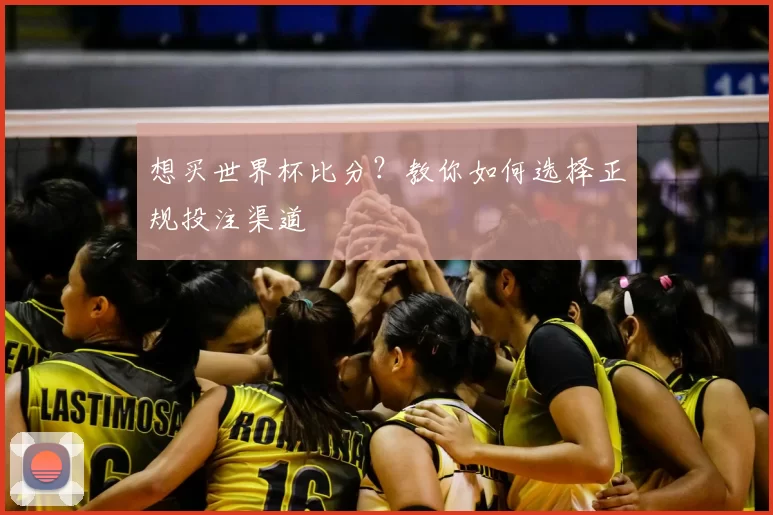 想买世界杯比分？教你如何选择正规投注渠道