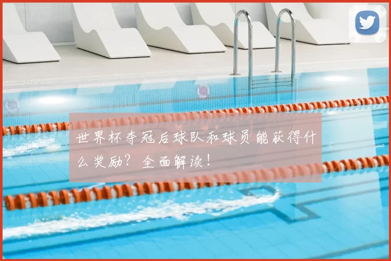 世界杯夺冠后球队和球员能获得什么奖励?全面解读!