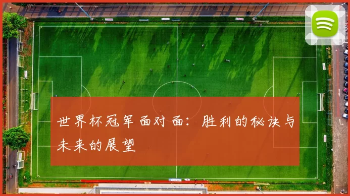 世界杯冠军面对面：胜利的秘诀与未来的展望