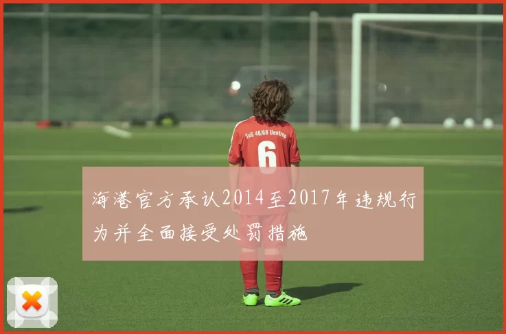 海港官方承认2014至2017年违规行为并全面接受处罚措施